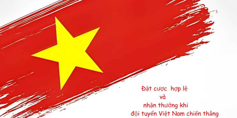Cách thức tham gia chương trình đồng hành cùng đội tuyển Việt Nam